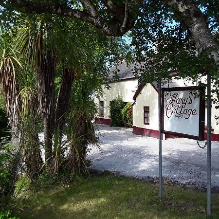 Mary'S Cottage Sneem Eksteriør billede